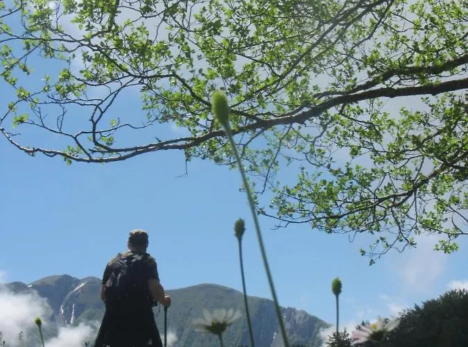 住宿加早餐酒店 Silver Sleep Papasidero